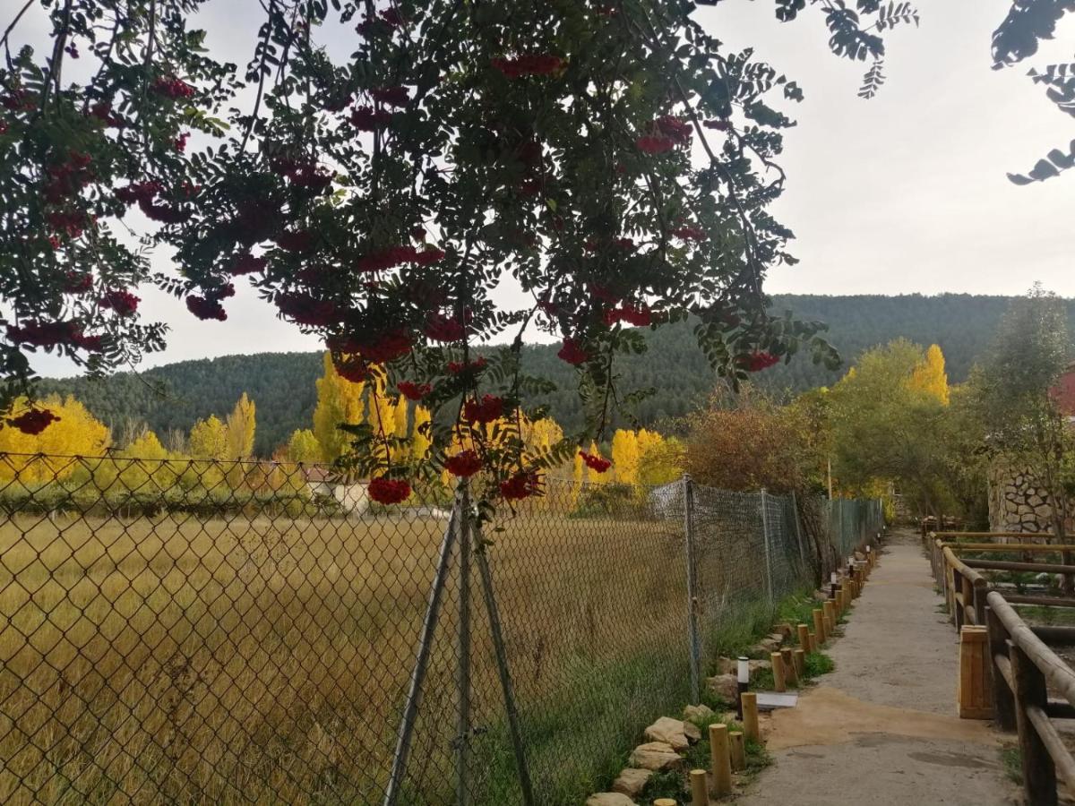 Casas Rurales La Trufa Madre Casa 2 Vega del Cadorno Dış mekan fotoğraf